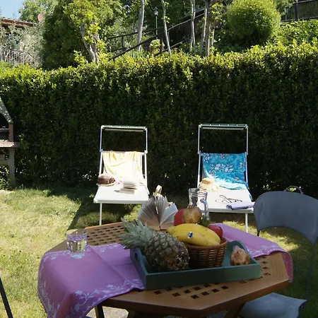 Boutique In With Pool *