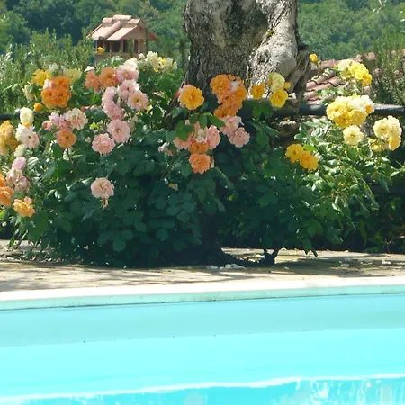 Boutique In With Pool Дом отдыха Поджибонси